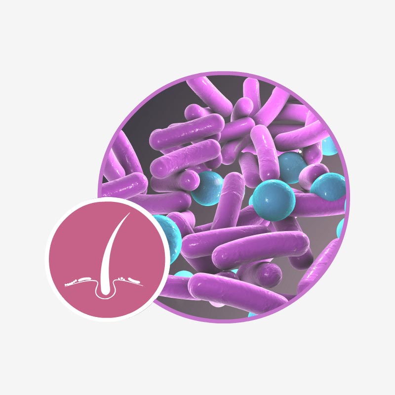 Belano Medical Producto cuidado piel Ilustración de diferentes bacterias de la microbiota.